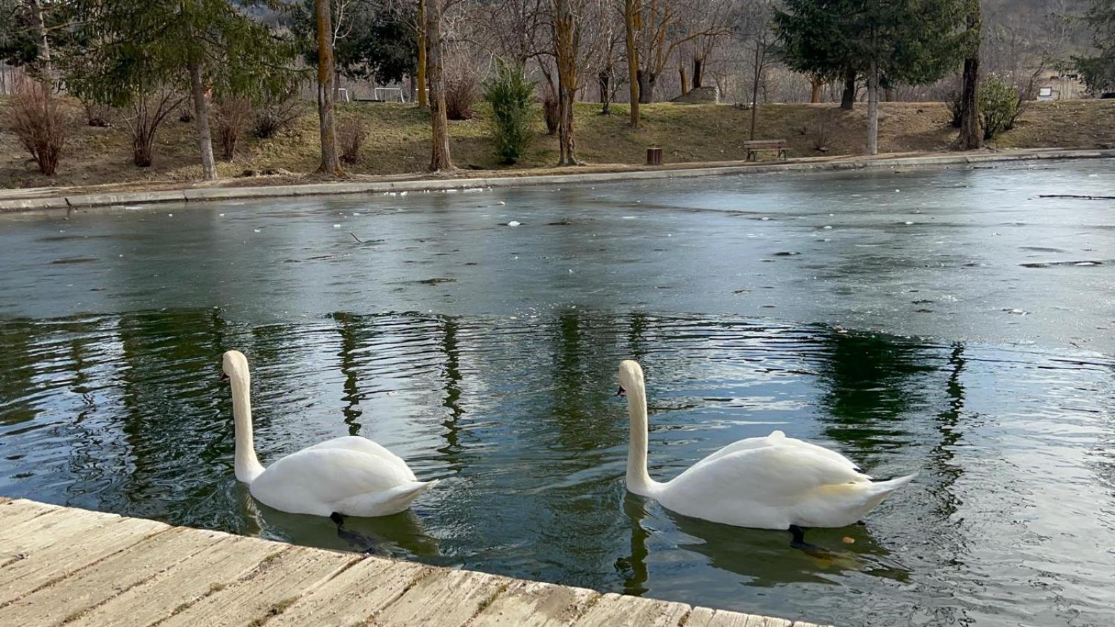 Apartament Del Llac Осежа Экстерьер фото